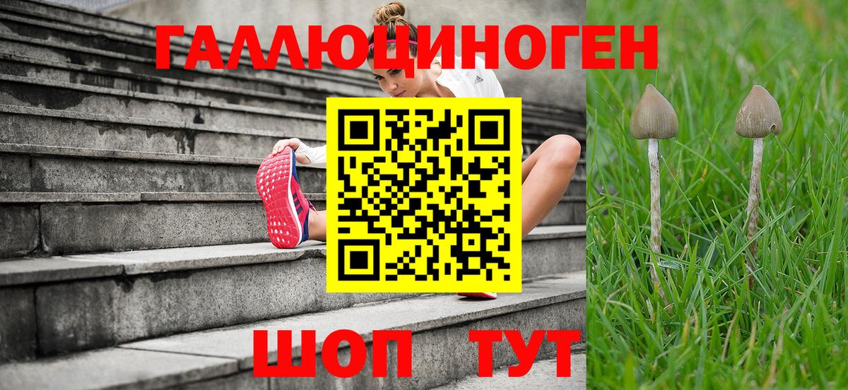 Псилоцибиновые грибы мухоморы  Вход с VPN  Обнинск 