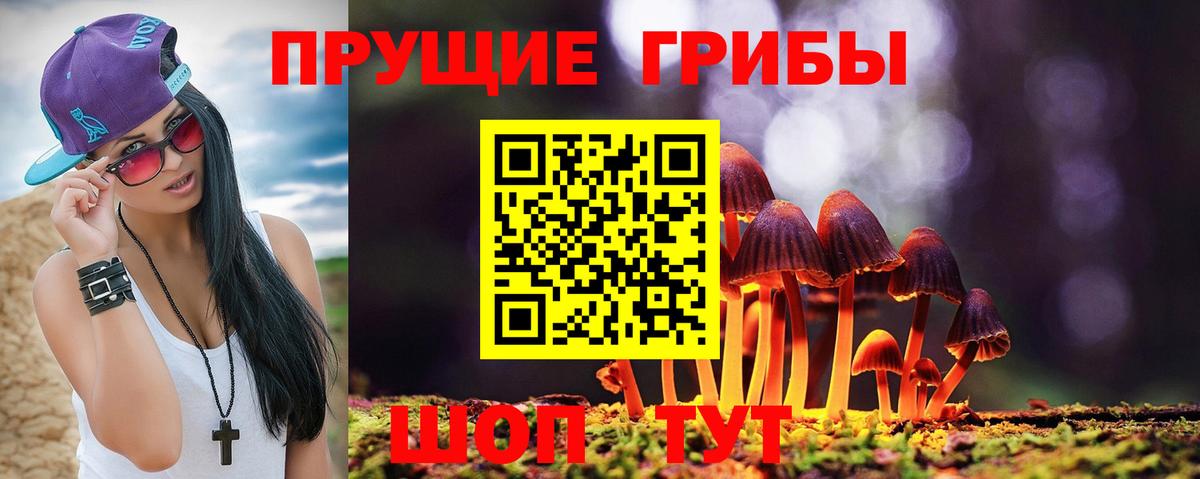 Псилоцибиновые грибы Magic Shrooms Обнинск
